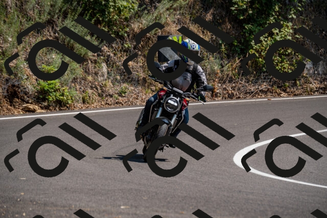 202508101442-_DSC3391_d2_