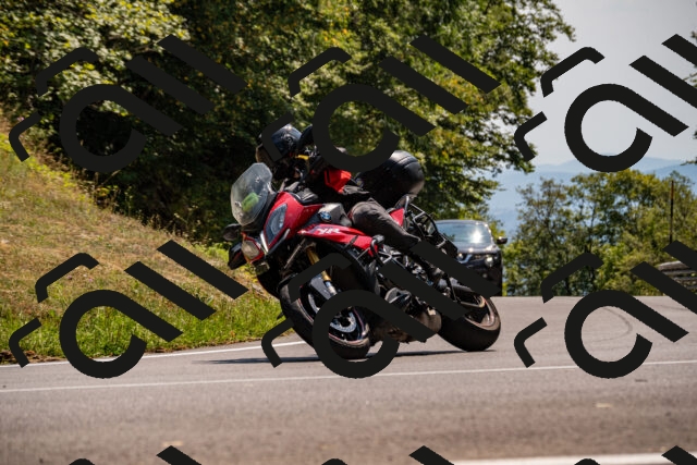 202508101442-_DSC3394_d2_