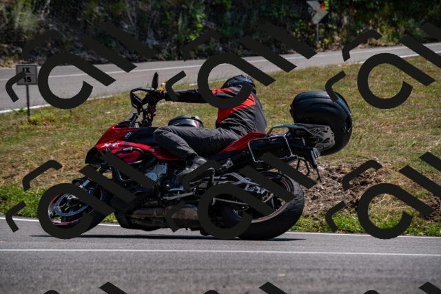 202508101442-_DSC3397_d2_