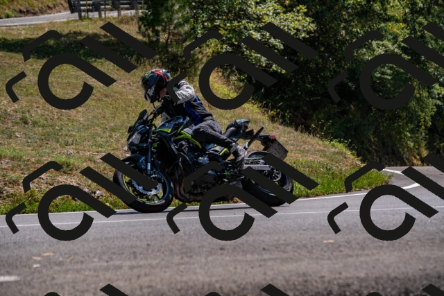 202508101443-_DSC3403_d2_