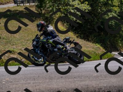 202508101443-_DSC3403_d2_