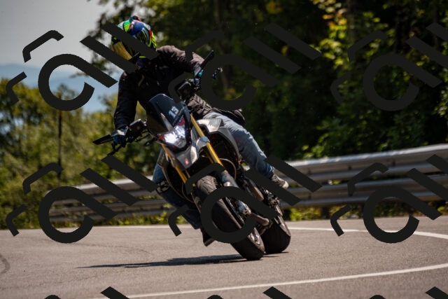 202508101443-_DSC3411_d2_