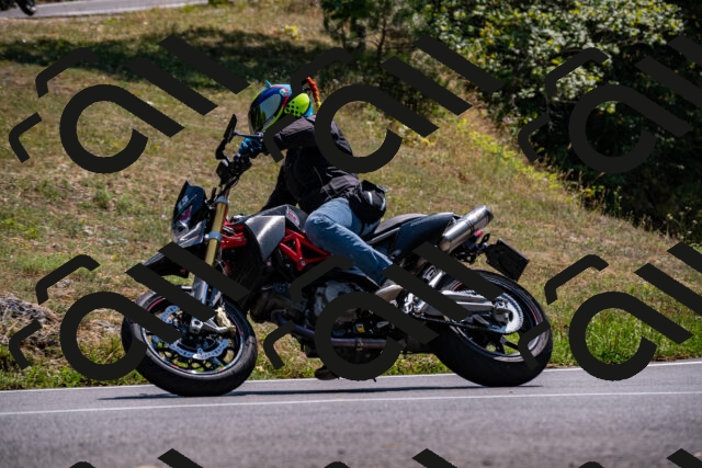 202508101443-_DSC3413_d2_