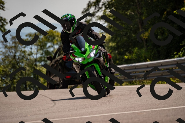 202508101444-_DSC3415_d2_