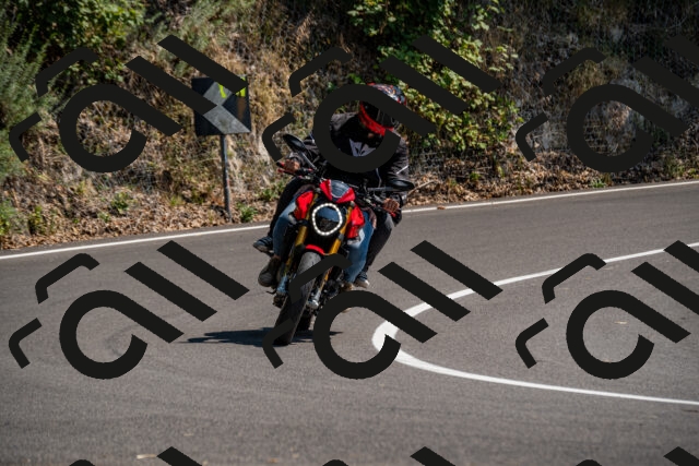 202508101444-_DSC3419_d2_