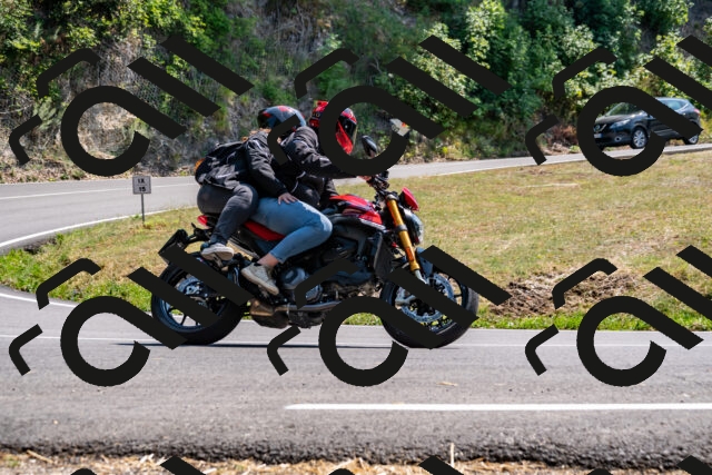 202508101444-_DSC3421_d2_