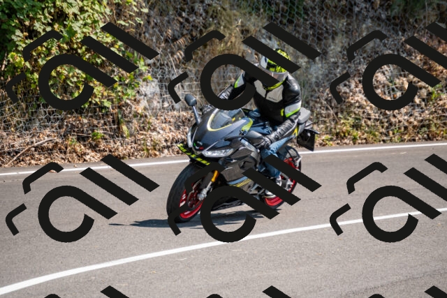 202508101445-_DSC3425_d2_