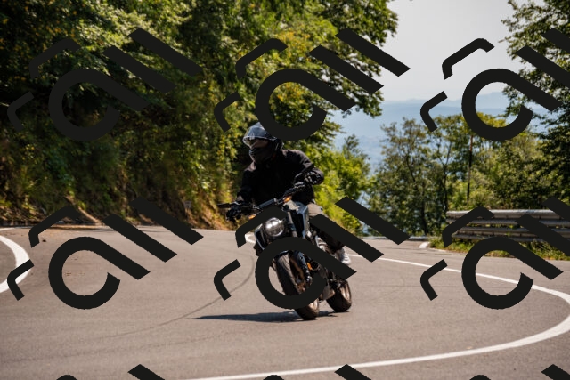 202508101446-_DSC3430_d2_