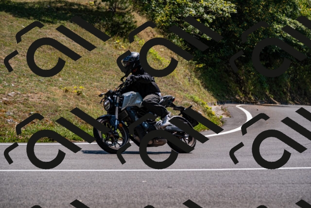 202508101446-_DSC3431_d2_