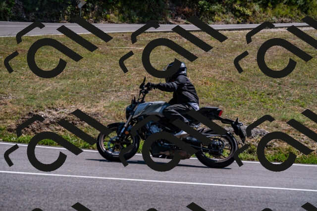 202508101446-_DSC3432_d2_