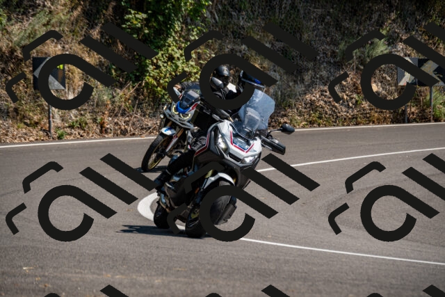 202508101451-_DSC3455_d2_