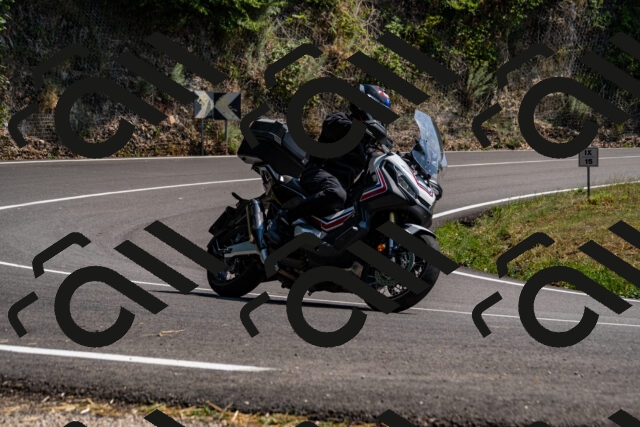 202508101451-_DSC3456_d2_