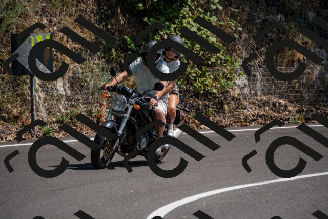 202508101456-_DSC3464_d2_