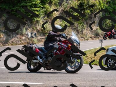 202508101456-_DSC3473_d2_