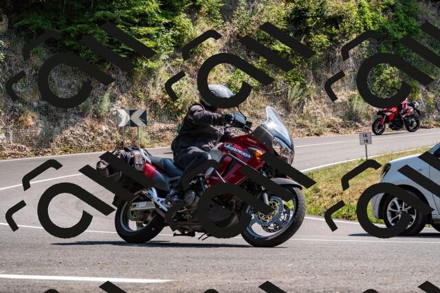 202508101456-_DSC3473_d2_