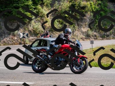 202508101456-_DSC3475_d2_