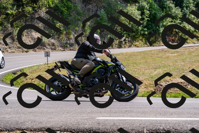 202508101456-_DSC3479_d2_