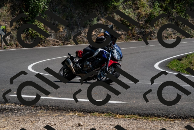 202508101457-_DSC3494_d2_