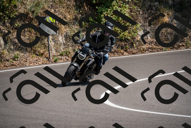 202508101458-_DSC3496_d2_