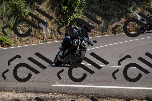 202508101458-_DSC3497_d2_