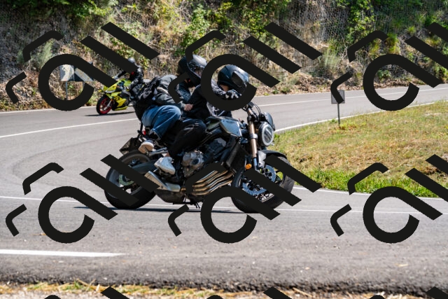 202508101458-_DSC3498_d2_