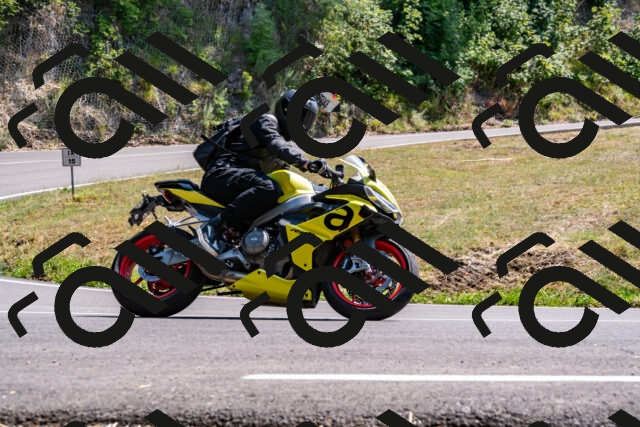 202508101458-_DSC3504_d2_