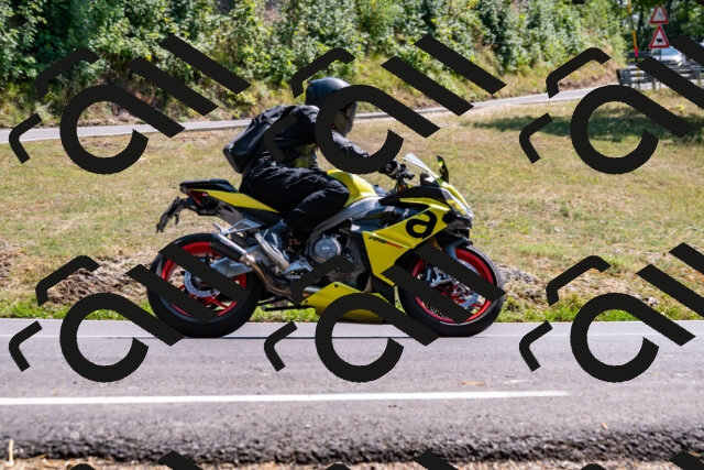 202508101458-_DSC3505_d2_