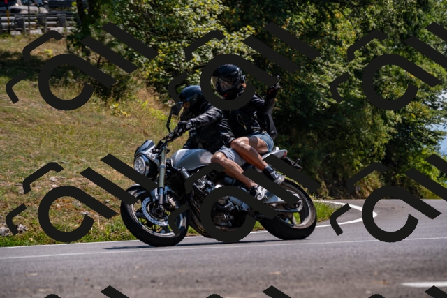 202508101458-_DSC3507_d2_