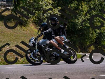 202508101458-_DSC3507_d2_