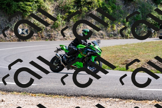 202508101500-_DSC3510_d2_