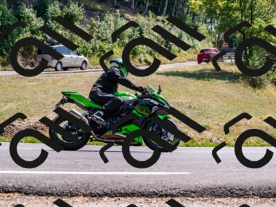 202508101500-_DSC3511_d2_