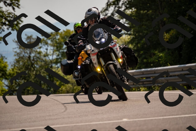 202508101502-_DSC3519_d2_