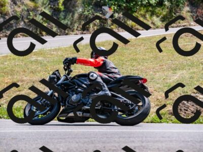 202508101506-_DSC3529_d2_