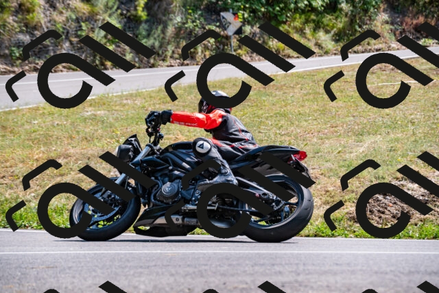 202508101506-_DSC3529_d2_