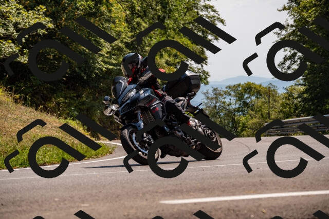 202508101506-_DSC3534_d2_