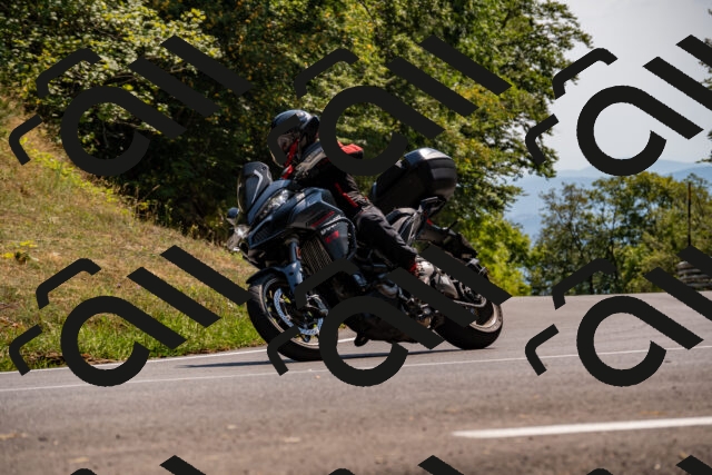 202508101506-_DSC3535_d2_