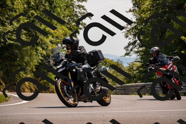 202508101507-_DSC3542_d2_