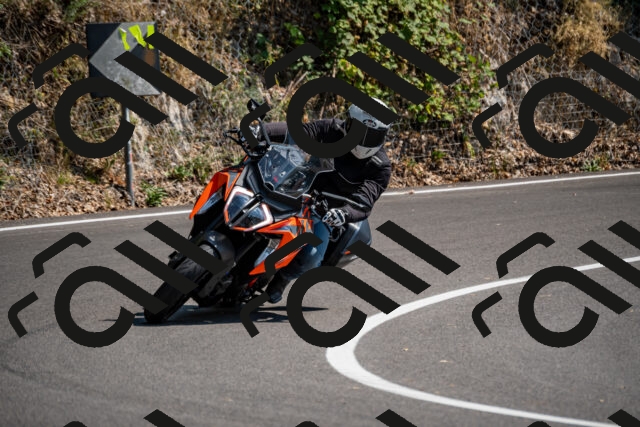 202508101509-_DSC3551_d2_