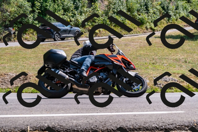 202508101509-_DSC3554_d2_