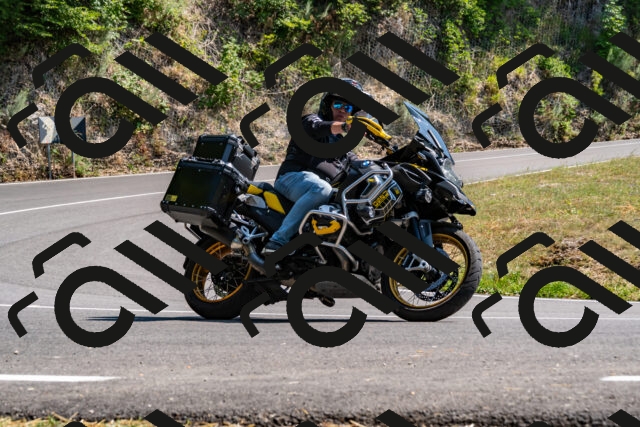 202508101510-_DSC3558_d2_