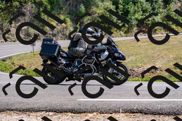 202508101510-_DSC3564_d2_