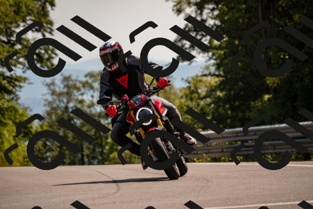 202508101516-_DSC3566_d2_