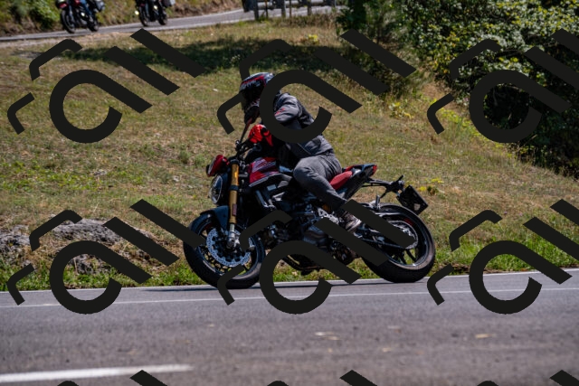 202508101516-_DSC3568_d2_