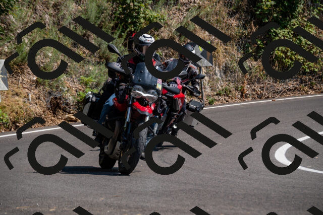 202508101517-_DSC3570_d2_