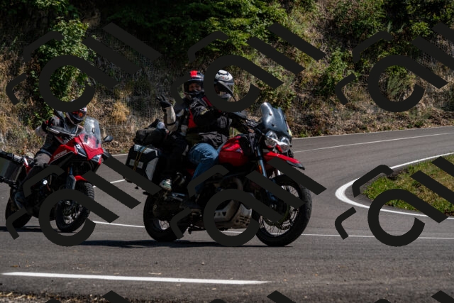 202508101517-_DSC3572_d2_