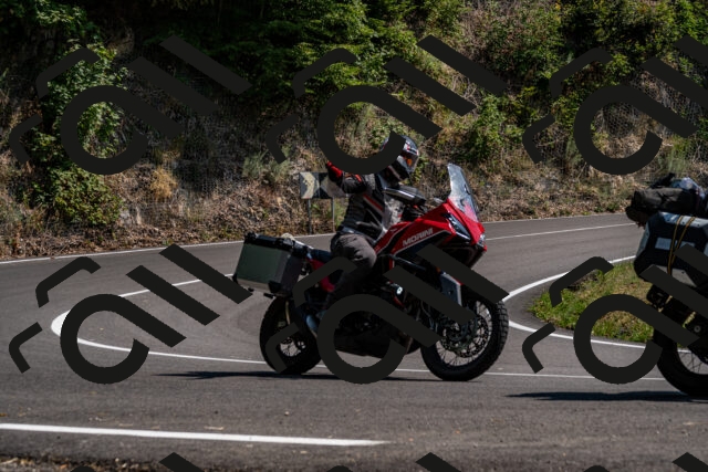 202508101517-_DSC3573_d2_