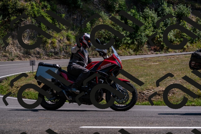 202508101517-_DSC3575_d2_