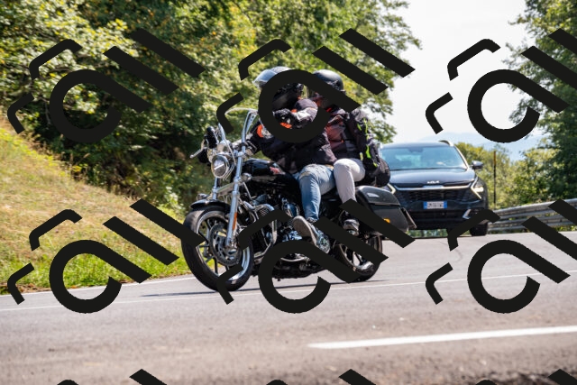 202508101521-_DSC3583_d2_