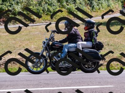 202508101521-_DSC3584_d2_