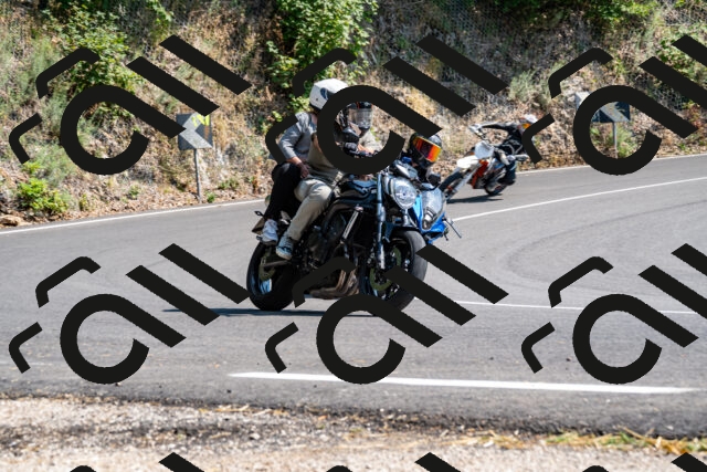 202508101522-_DSC3595_d2_